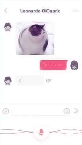 专业代购的DDOS网页端源码